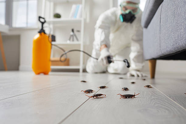 Commercial Kitchen Cockroach Control in Rosemead